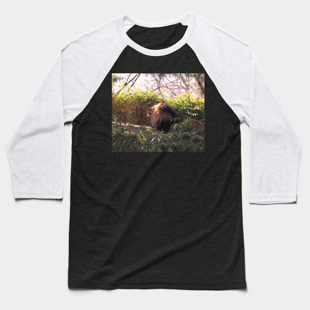 Lion in the Sun Baseball T-Shirt by XanderWitch Creative